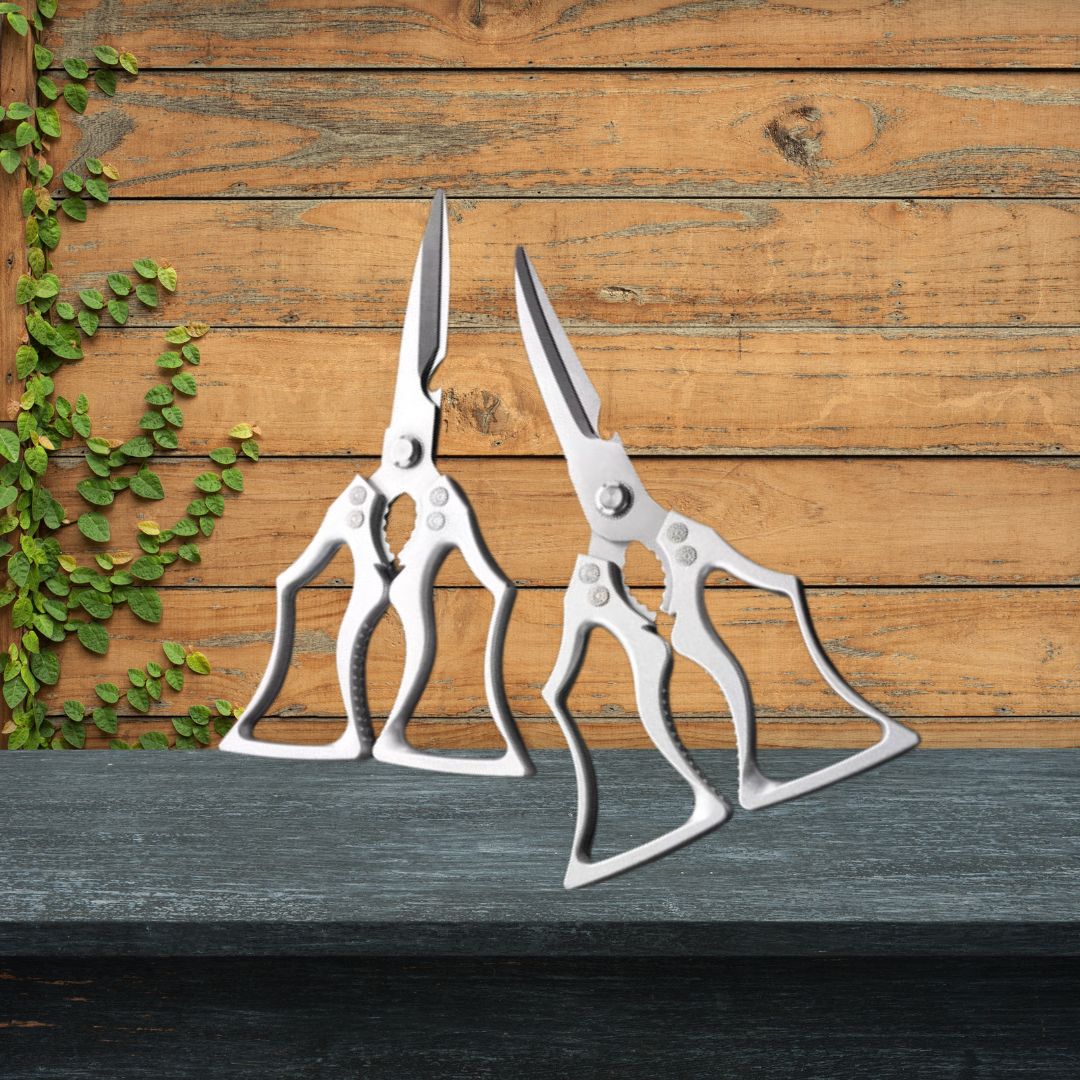 "Best Kitchen Scissors, Cooking Gadgets & Home Accessories | cheena.pk"